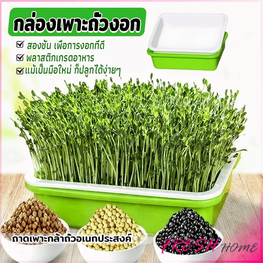 Fresh กล่องเพาะถั่วงอก ถาดเพาะต้นอ่อน ไม่ต้องใช้ดิน นำกลับมาใช้ใหม่ได้ สำหรับมือใหม่ 1ชุด bean sprouts tray