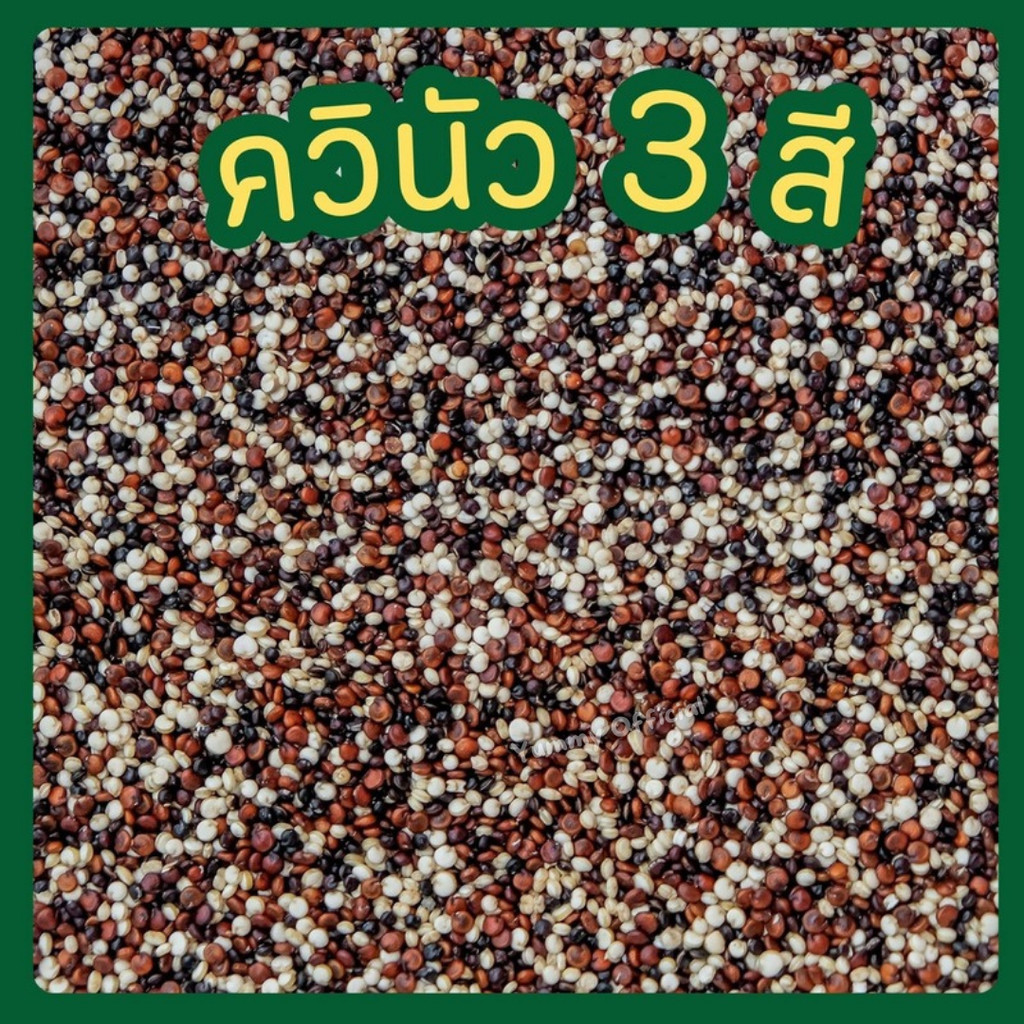 W ส่งฟรี ควินัว3สี 1KG เมล็ดควินัว 3 สี ออร์แกนิค Organic Quinoa คีนิว คินัว ครินัว ครีนิว คีนิวผสม คินัวผสม คีนัว3สี
