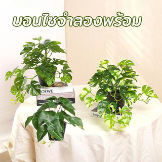 บอนไซจำลองพร้อม กระถาง ใบไม้ปลอมเหมือนจริง ใช้ตกแต่งบ้านและออฟฟิศ ต้นไม้แต่งโต๊ะไม่ต้องรดน้ำ