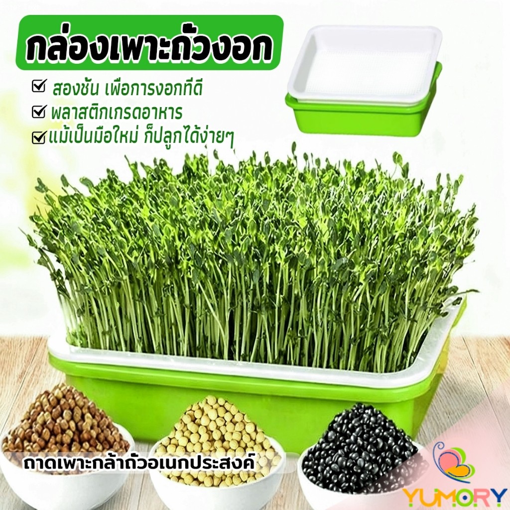 Yumory กล่องเพาะถั่วงอก ถาดเพาะต้นอ่อน ไม่ต้องใช้ดิน นำกลับมาใช้ใหม่ได้ สำหรับมือใหม่ 1ชุด bean sprouts tray