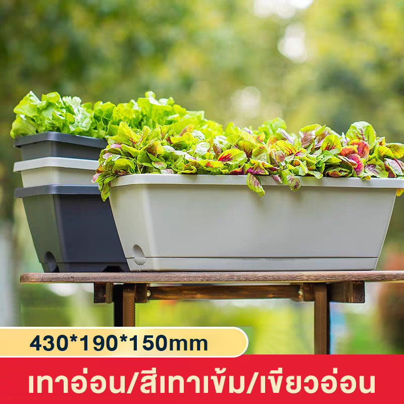 กระถางปลูกผัก กระถางดอกไม้ เหนียวแข็งแรง ทรงยาวพร้อมถาดรอง ไม่เสียรูปง่าย สามารถวางไว้ที่ระเบียง/ชานเรือนได้