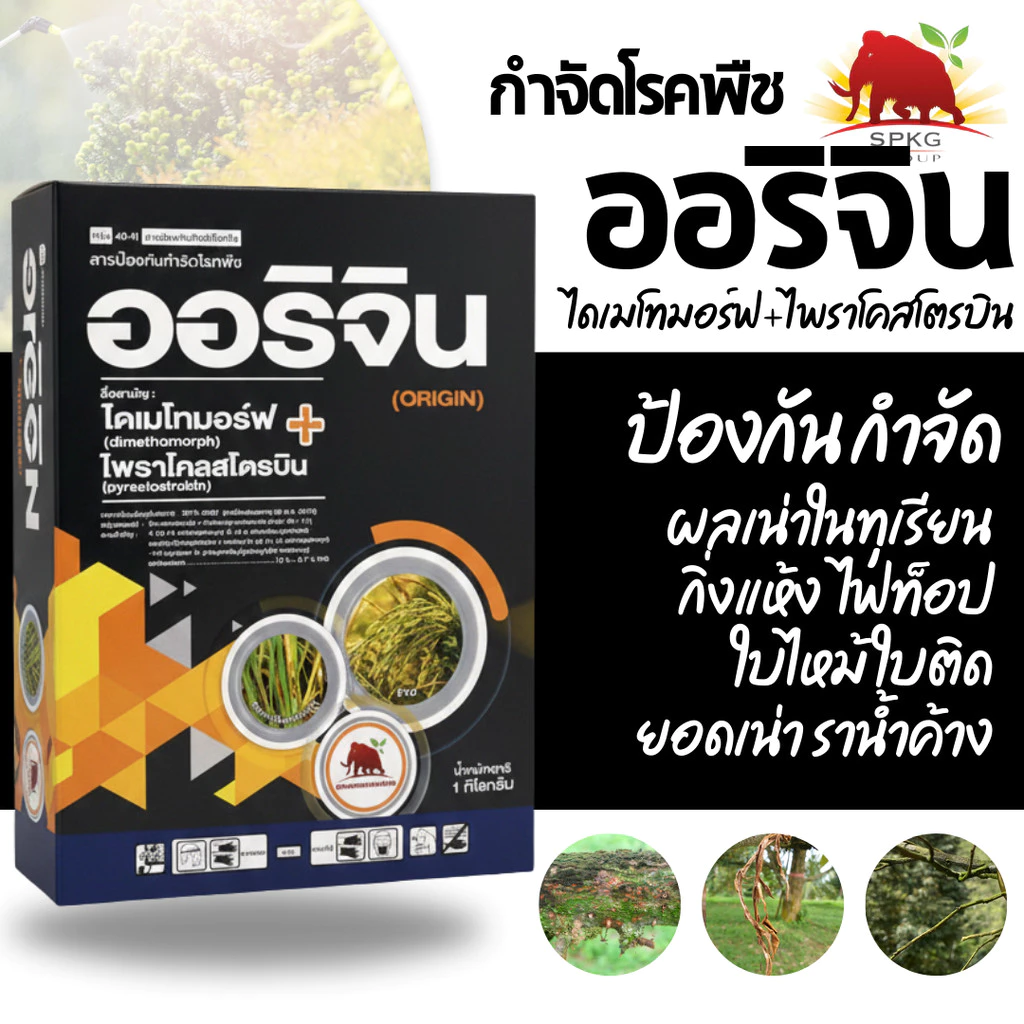 [1กก] ออริจิน (ไดเมโทมอร์ฟ 12% + ไพราโคลสโตรบิน 6.7% WG) กำจัดเชื้อรา ไฟท็อป ลูกเน่า ราน้ำค้าง 1 กิโลกรัม