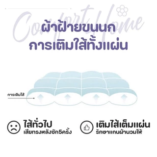 ผ้าห่มห้องแอร์ ผ้าห่มฤดูร้อน ผ้านวมบางเบา นุ่มสบาย ระบายอากาศดี ไม่ร้อน ลายการ์ตูน ซักง่าย ขนาด 5/6/7 ฟุต