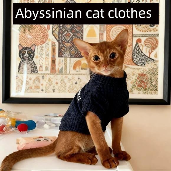 เสื้อแมว เสื้อผ้าแมว เสื้อผ้าแมว Abyssinia ป้องกันขนร่วงสัตว์เลี้ยงฤดูหนาวหนาฐานเสื้อลูกแมวสี่ฤดูอุป