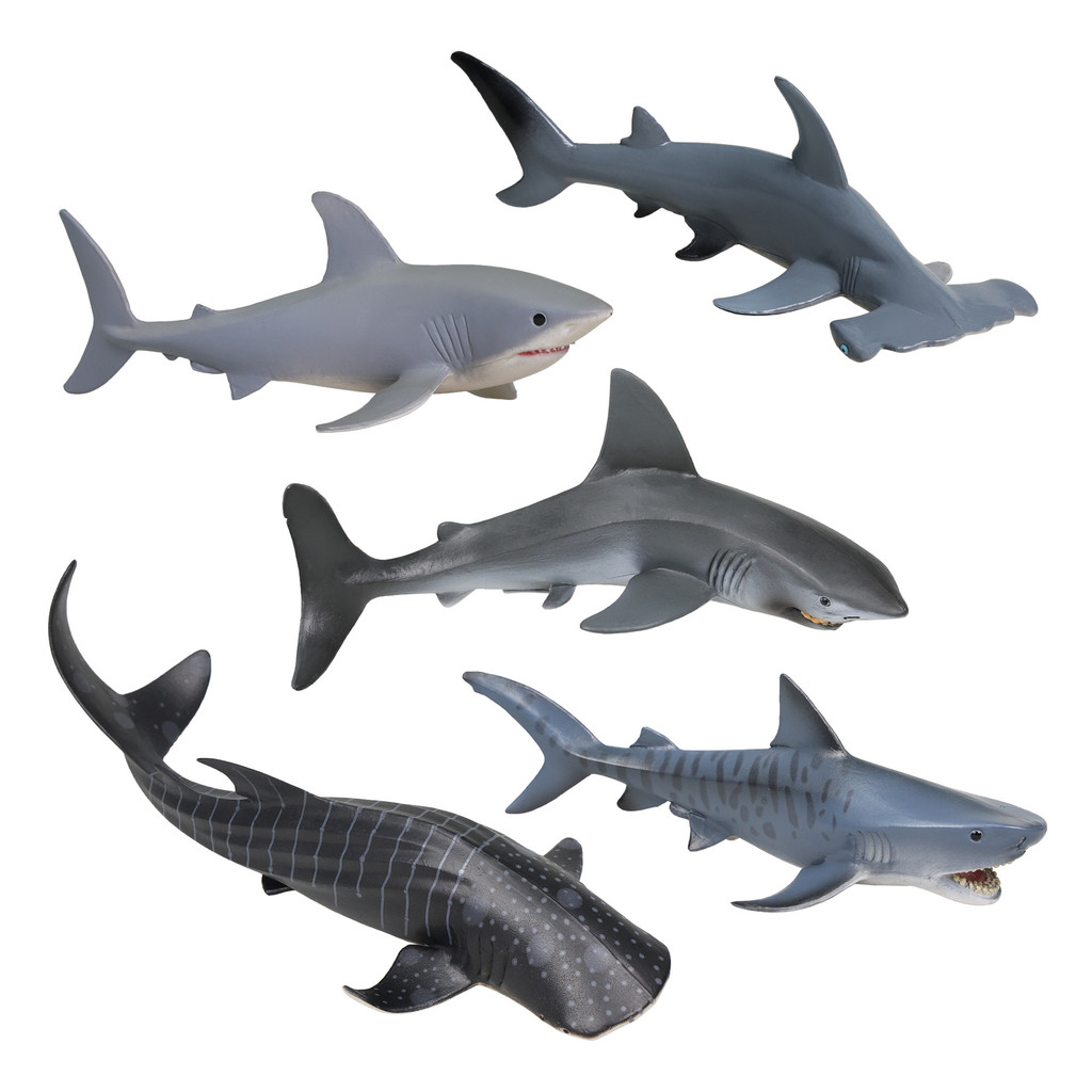 Aoku ของเล่นจําลอง Shark ของเล่นโลกใต้น้ํา Aquarium ตกแต่ง Great White Shark Hammer Shark Killer Sha