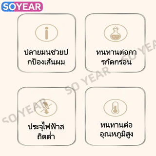 หวีจัดแต่งทรงผมขนหมูป่า ด้ามจับไม้บีช ทนความร้อนสูง - สำหรับผมหยิก ผมตรง และผมฟู 3 ขนาด (S/M/L)