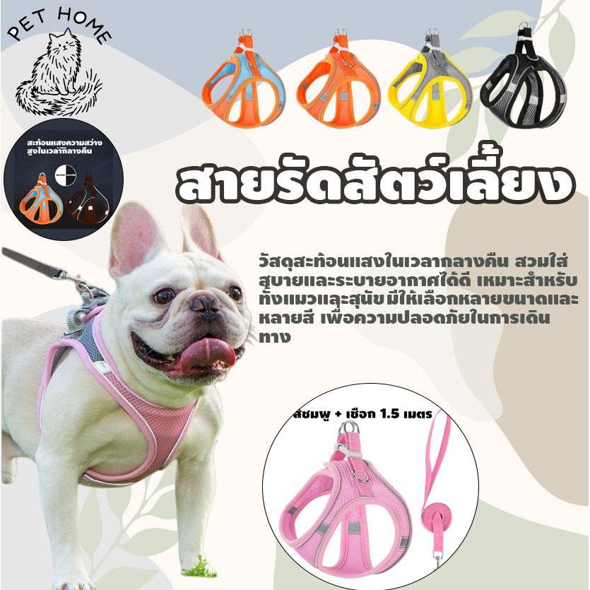 สายจูงแบบเสื้อกั๊ก สายรัดสุนัข และสายรัดแมว ทำจากผ้าระบายอากาศได้ดี พร้อมแถบสะท้อนแสง เหมาะสำหรับกิจกรรมกลางแจ้ง