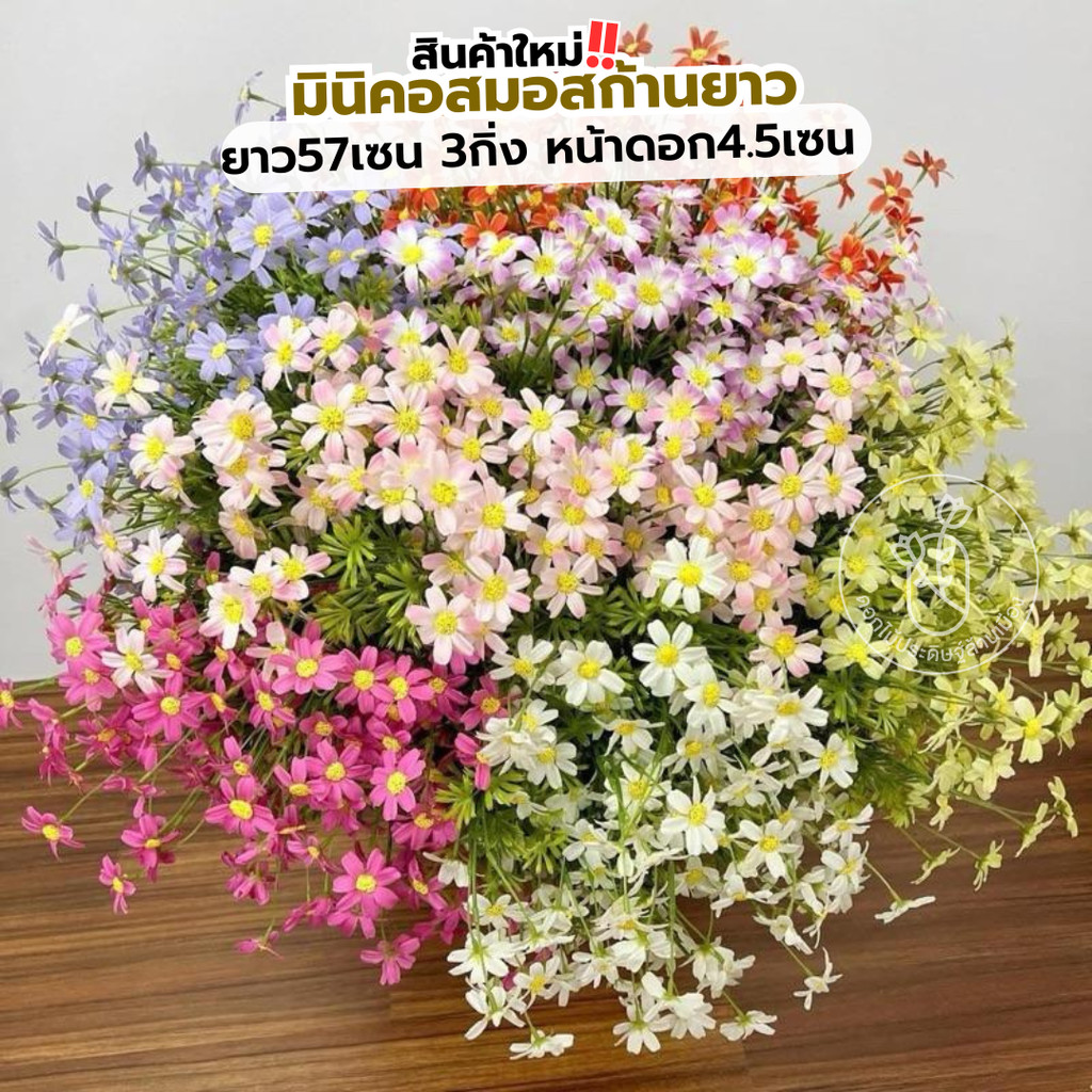 (1ก้าน)มินิคอสมอสก้านยาว งานVIP ดอกดาวกระจายยาว57เซน 3กิ่ง หน้าดอก4.5เซน ดอกไม้ประดิษฐ์