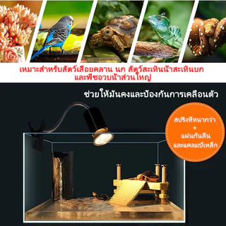 ไฟกกสัตว์ หลอดไฟ ขั้ว E27 สีดำ หลอดไฟเซรามิค หลอดไฟให้ความร้อน ไฟให้ความร้อน​สำหรับเต่าบกสัตว์เลื้อยคลานกกลูกนก