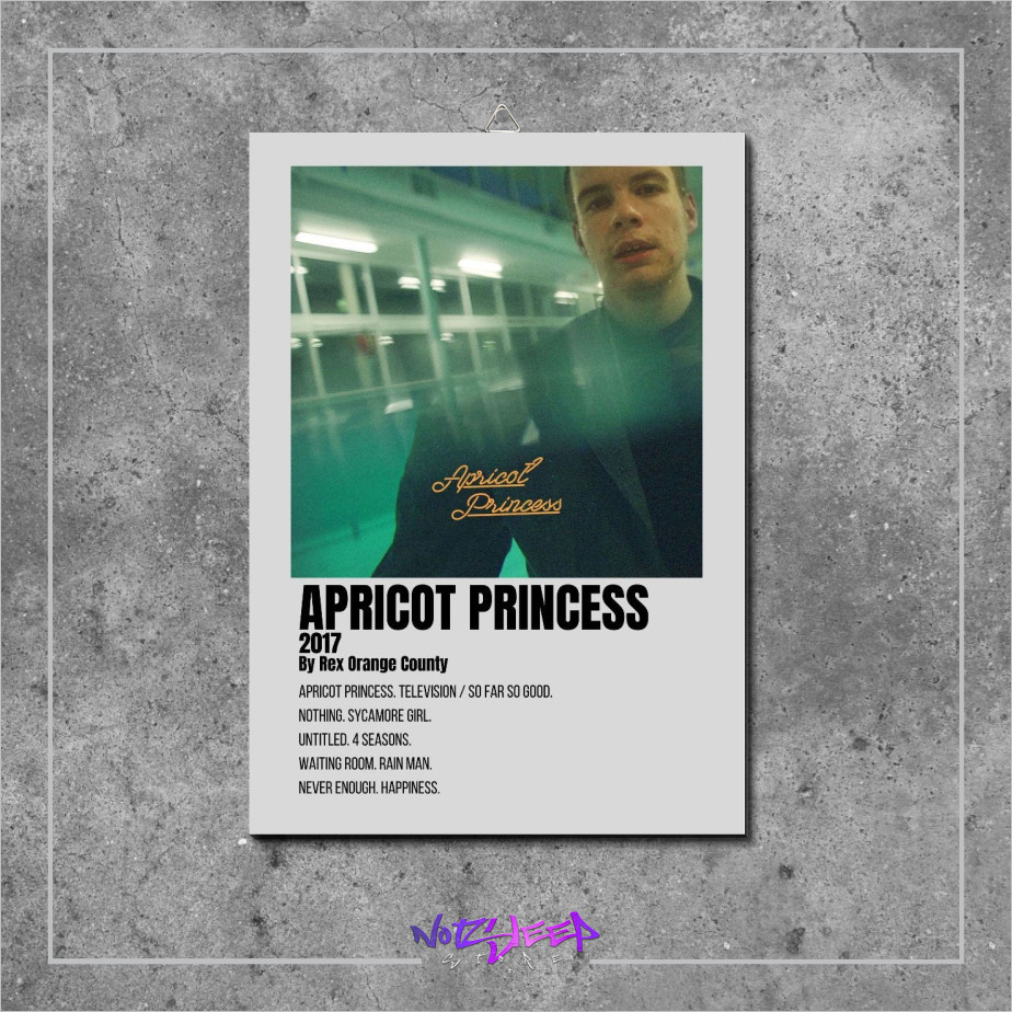 โปสเตอร์อัลบั้มเพลงเจ้าหญิงแอปริคอทโดย Rex Orange County mdf โปสเตอร์ไม้