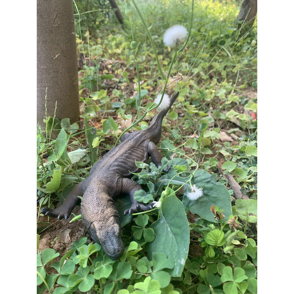 สินค้าจํานวนมากของแท้ Ocean Hall จําลองไดโนเสาร์สัตว์รุ่น Komodo Dragon Komodo Modo Lizard เครื่องปร