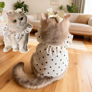 เสื้อแมว เดรสสายเดี่ยว น่ารักมาก เสื้อจุดให้สัตว์เลี้ยง เสื้…