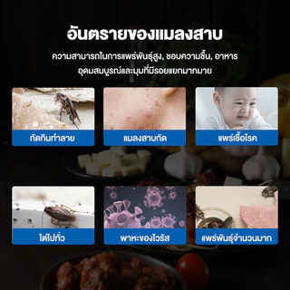 💥วางเม็ดเดียวอยู่ได้ 4 ปี💥 บ้านแมลงสาบ 16ชิ้น/กล่อง ติดเชื้อ1ตัว ตายทั้งรัง ยากำจัดแมลงสาบ เจลกำจัดแมลงสาบ ดักแมลงสาบ