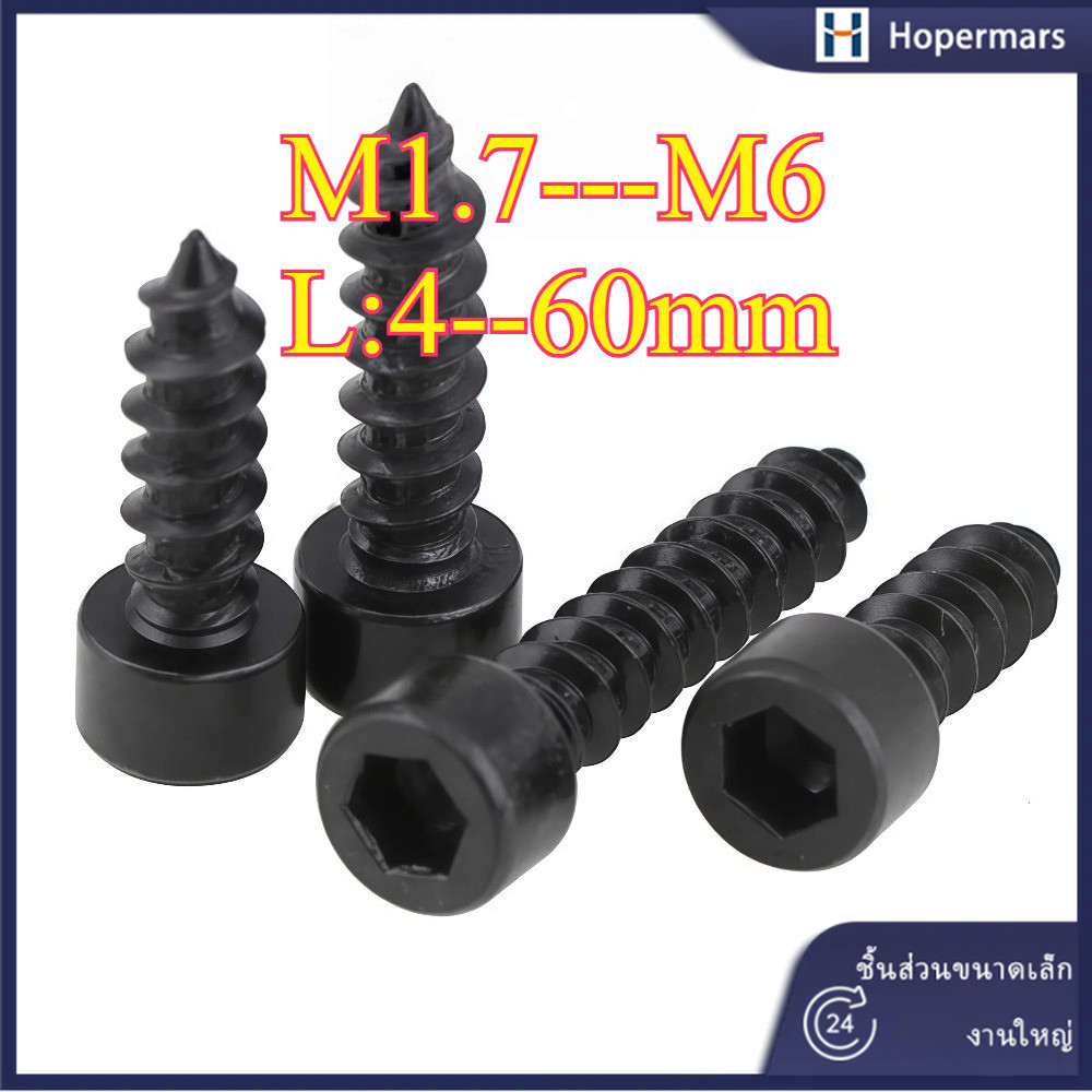 สีดําเกรด 8 ถ้วยหัวซ็อกเก็ตหกเหลี่ยม สกรูไม้หกเหลี่ยม   Self-Tipping M1.7/M2/M2.3/M2.6/M3M3.5/M4/M5/