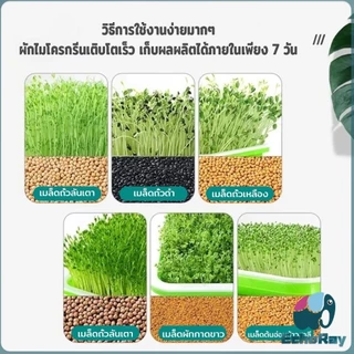 E.R กล่องเพาะถั่วงอก ถาดเพาะต้นอ่อน ไม่ต้องใช้ดิน นำกลับมาใช้ใหม่ได้ สำหรับมือใหม่ 1ชุด bean sprouts tray