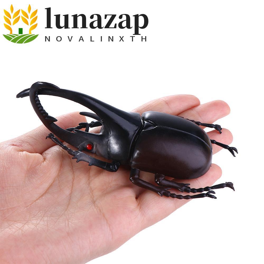 LUNAZAP จําลอง Beetle Joke ของเล่นคอลเลกชันสัตว์ปลอดสารพิษ Trick Props ด้วงปลอมเด็กแมลงรุ่น