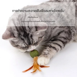 😻 ลูกบอลขนนกแมว Catnip ของเล่นแมว🐾คลายเครียด ขัดฟัน เคี้ยวสนุก คลายเครียด และขัดฟันในเวลาเดียวกัน