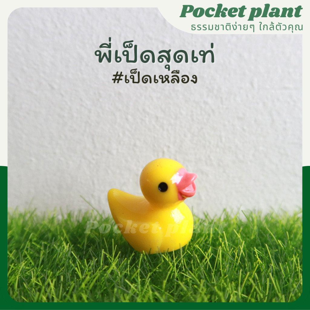 มุมมอง 4