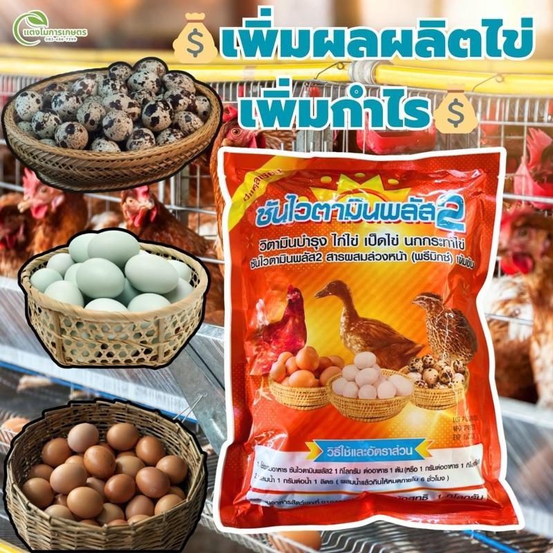 ซันไวตามินพลัส2(1ซองจำนวน1กิโล)บำรุงการออกไข่ของสัตว์โดยเฉพาะไก่ไข่,เป็ดไข่,นกกระทาไข่