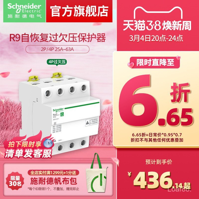 Schneider Circuit Breaker Self-Recovery Over-Pressure Protector R9 2P/4P 25A ~ 63A OUPA
