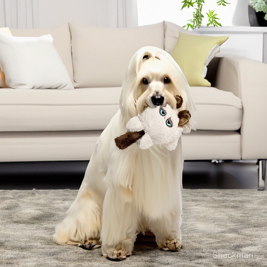 อุปกรณ์สัตว์เลี้ยงข้ามพรมแดน Grumpy Cat Grumpy Cat Pet Plush Toy Bite Dog Toy Bite Not Bad