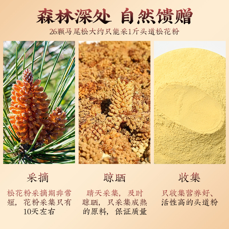 Tongrentang Pine Pollen ร้านเรือธงอย่างเป็นทางการ Guozhen ธรรมชาติ Wild ปราศจากกํามะถันเกสรสนแท้ผนัง