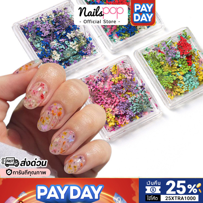 พร้อมส่ง⚡ ดอกไม้แห้ง อุปกรณ์แต่งเล็บ อะไหล่ติดเล็บ Mix Flower อะไหล่ตกแต่งเล็บ จิวแต่งเล็บ Nailspop