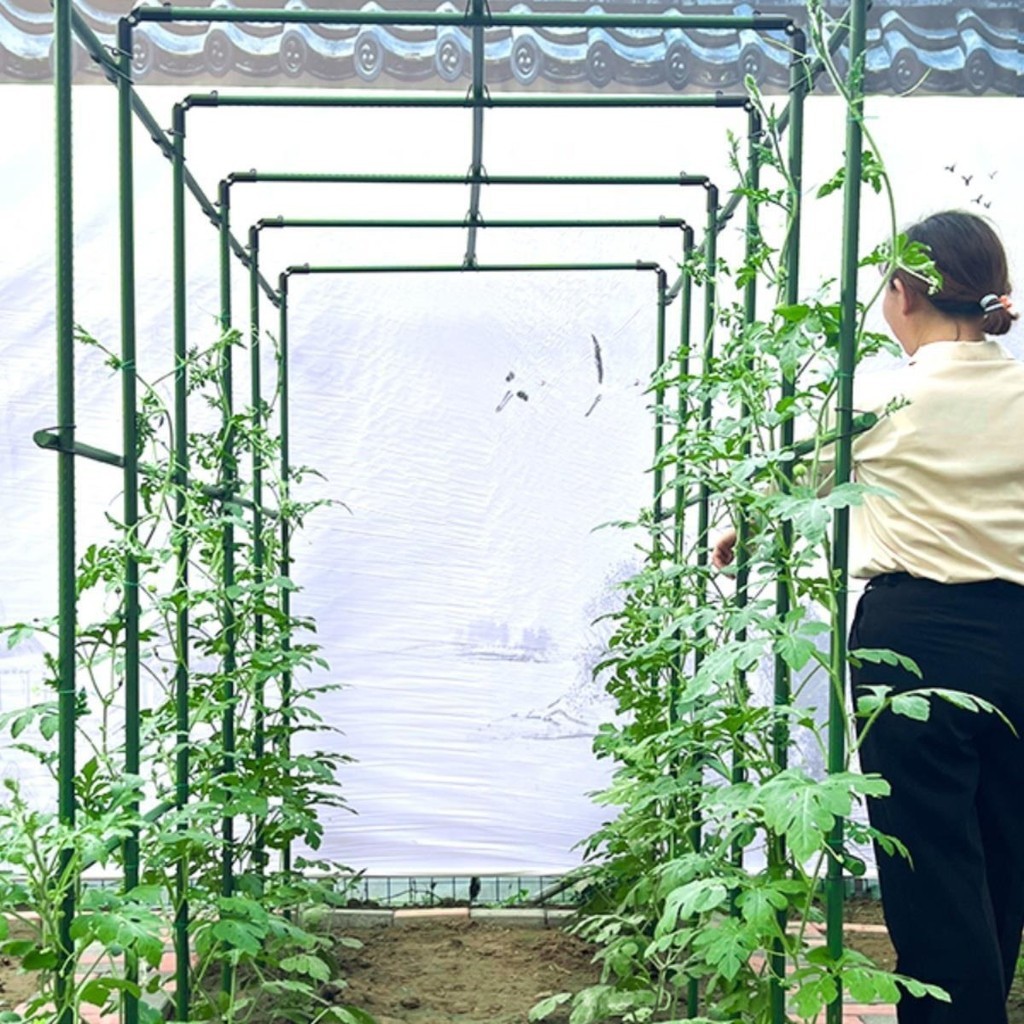 Pergolas, แหยะองุ่น, ตะแกรงแตงกวา, ตะแกรงถั่ว, โครงรองรับผักและผลไม้, เสาค้ําต้นไม้