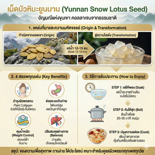 เมล็ดบัวหิมะ (Zao Jiao Mi) Snow Lotus Seed | SS Brand