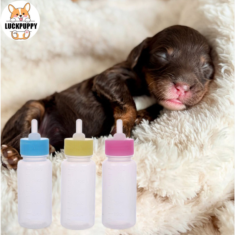 ✨ สินค้าขายดี ขวดนมสุนัข 🍼 สำหรับลูกสุนัข 🐶 จุกนมซิลิโคน นุ่ม ปลอดภัย ใช้งานง่าย สินค้าพร้อมส่ง