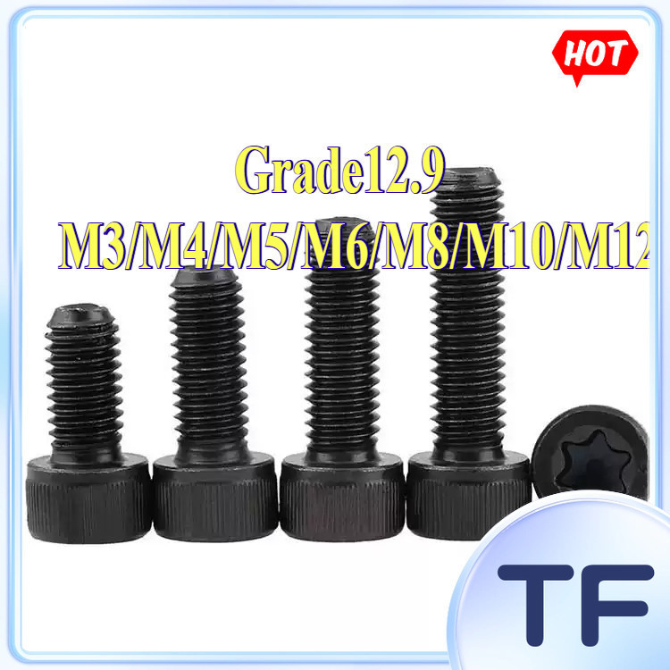 Itim na 12.9 Antas Torx Kopa na Ulo Bolt M3/M4/M5/M6/M8/M10/M12[TF-FC-1]