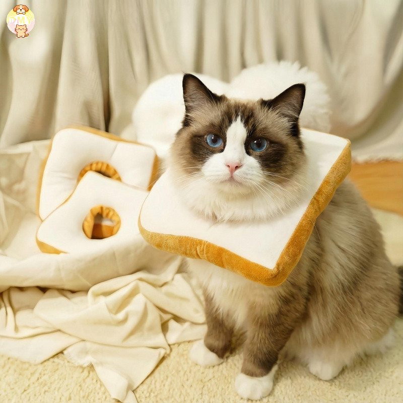 【พร้อมส่ง】🍗Pet Elizabeth Collar ปลอกคอกันเลีย ปลอกคอสัตว์เลี้ยง คอลล่าแมว คอลล่าสุนัข COD - รูปที่ 5