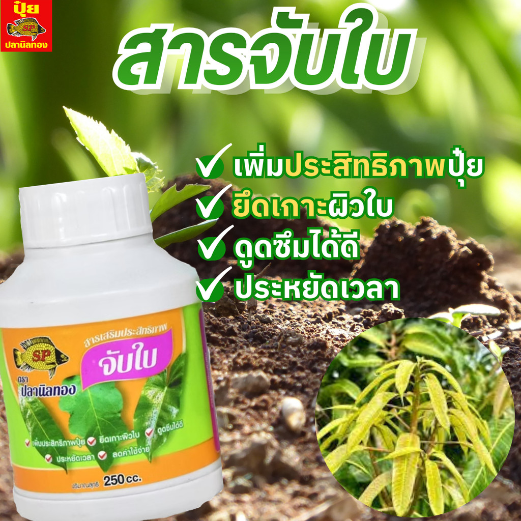 สารจับใบ ปุ๋ยน้ำ ปุ๋ยน้ำทางใบ ฮอร์โมนน้ำ ตราปลานิลทอง  ขนาด 250 ซีซี