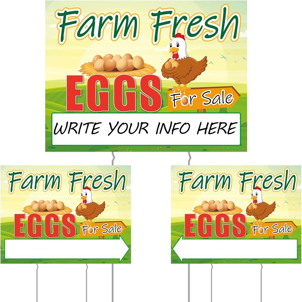 Sintuff 3 Pcs Farm Fresh Eggs for Sale Sign 16 x 12 Inch Fresh Eggs Sign Double Sided Farm Funny Cor
