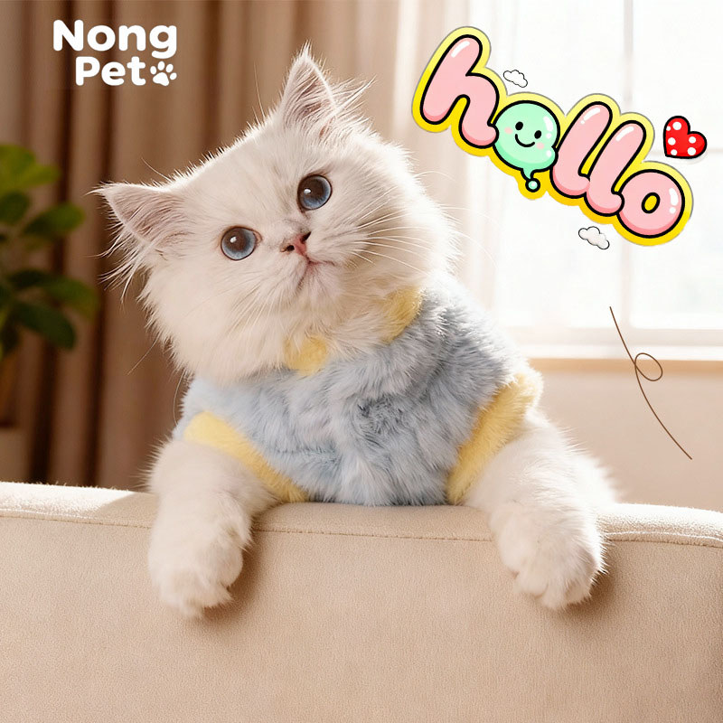 Nong Pet เสื้อกันหนาวแมว โทนฟ้า–เหลืองพาสเทล นุ่มอุ่น ใส่สบาย รุ่นกันหนาว พร้อมส่ง
