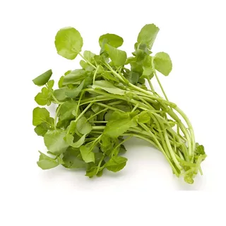 800 เมล็ดเมล็ดพันธุ์วอเตอร์เครส เมล็ดวอเตอร์เครส (Watercress) ผักสลัด มากวิตามิน โตไว ทานสดได้