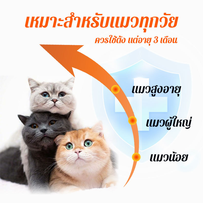 🔥พร้อมส่ง🔥50 / 100/150 ชิ้น 3รสชาติ ขนมแมว ขนมเเมวเลีย เนื้อสัมผัสนุ่มละลาย อุดมไปด้วยสารอาหาร เหมาะกับแมวทุกสายพันธุ์ - รูปที่ 7