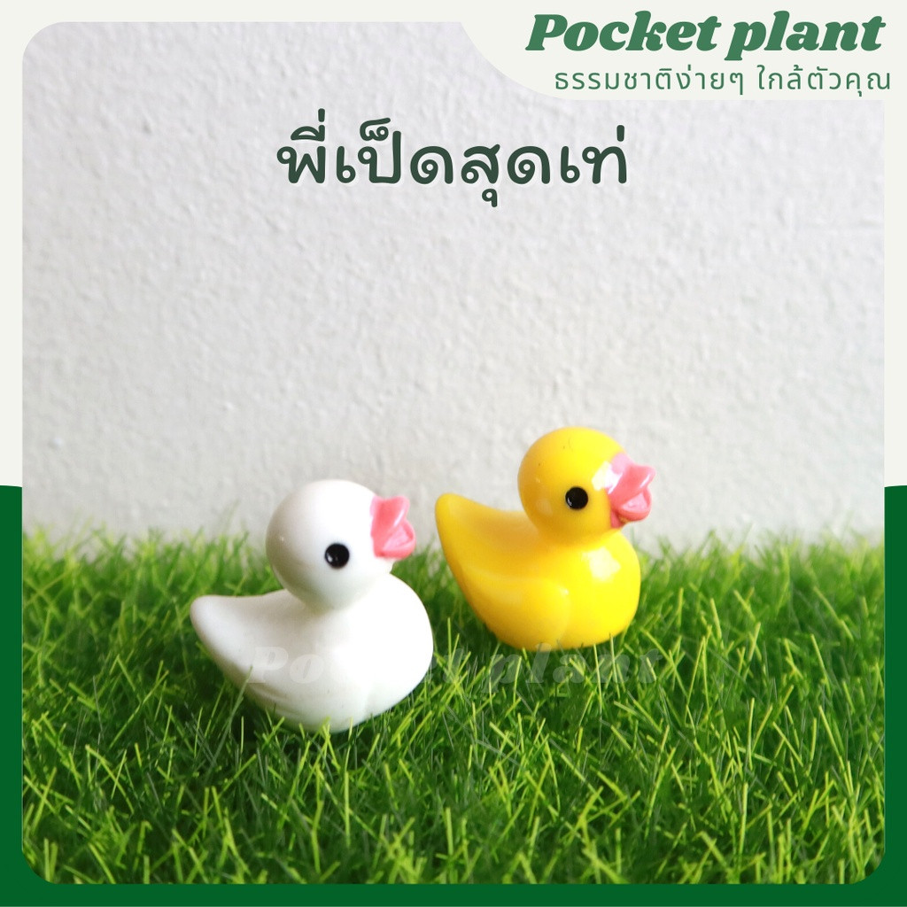 มุมมอง 2