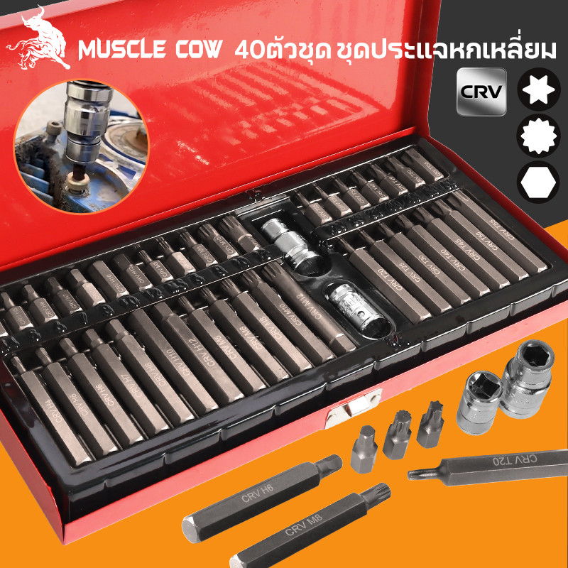 MUSCLE COW ชุดบล็อกรถยุโรป ลูกบล็อกเดือยโผล่หกเหลี่ยม หัวท๊อก 12แฉก 40ชิ้น/ชุด ลูกบล็อก ลูกบล็อค บล็อค