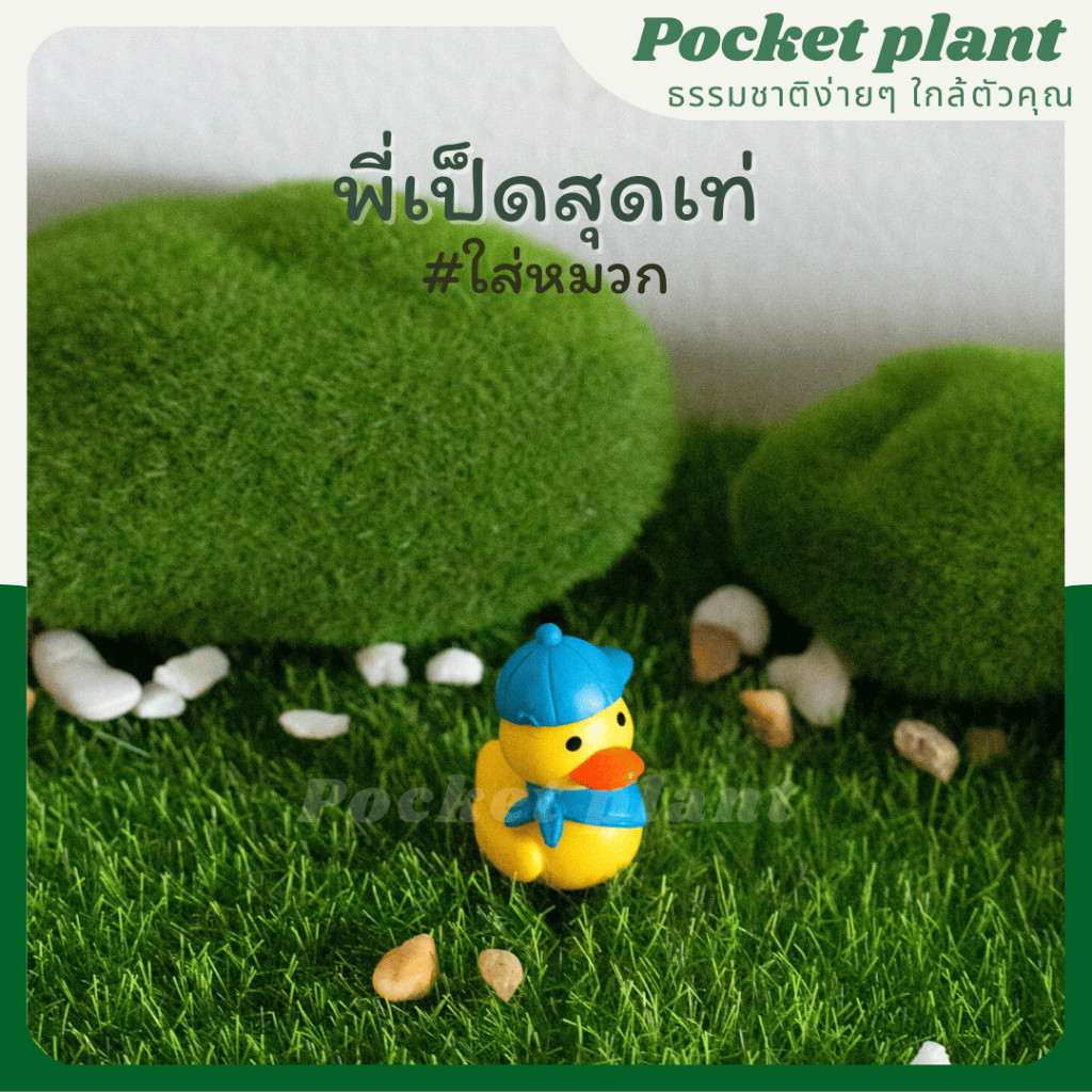 มุมมอง 6