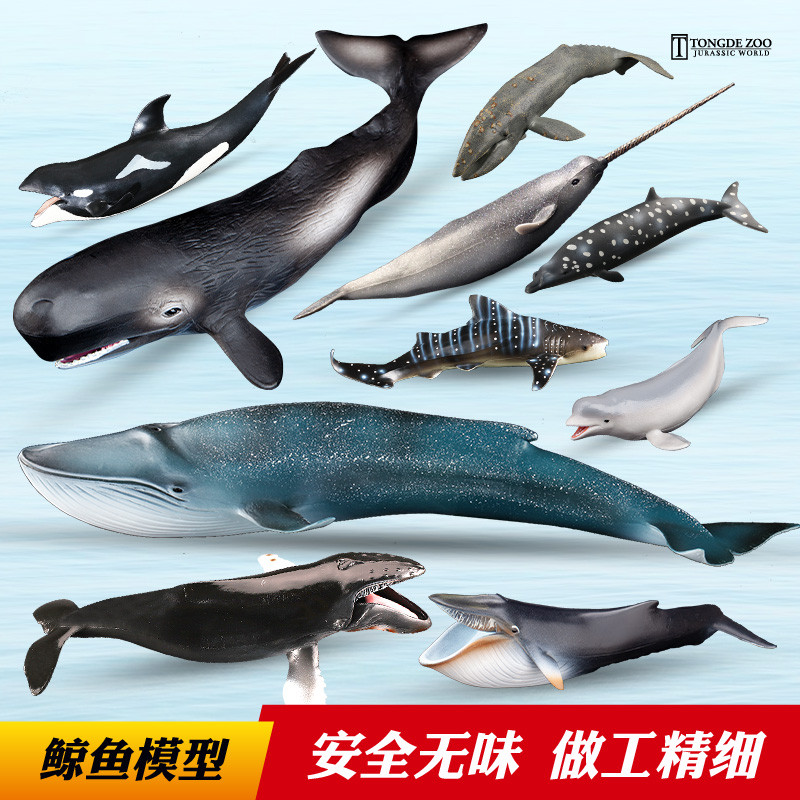 T Tongde Whale รุ่นสัตว์ทะเลของเล่นเด็กจําลอง Beluga Blue Whale Head Whale Killer Whale Spread Whale
