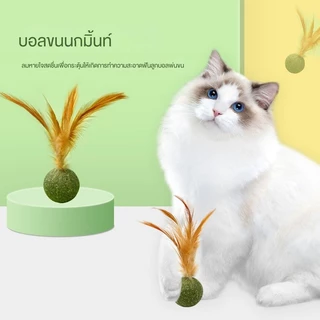 😻 ลูกบอลขนนกแมว Catnip ของเล่นแมว🐾คลายเครียด ขัดฟัน เคี้ยวสนุก คลายเครียด และขัดฟันในเวลาเดียวกัน