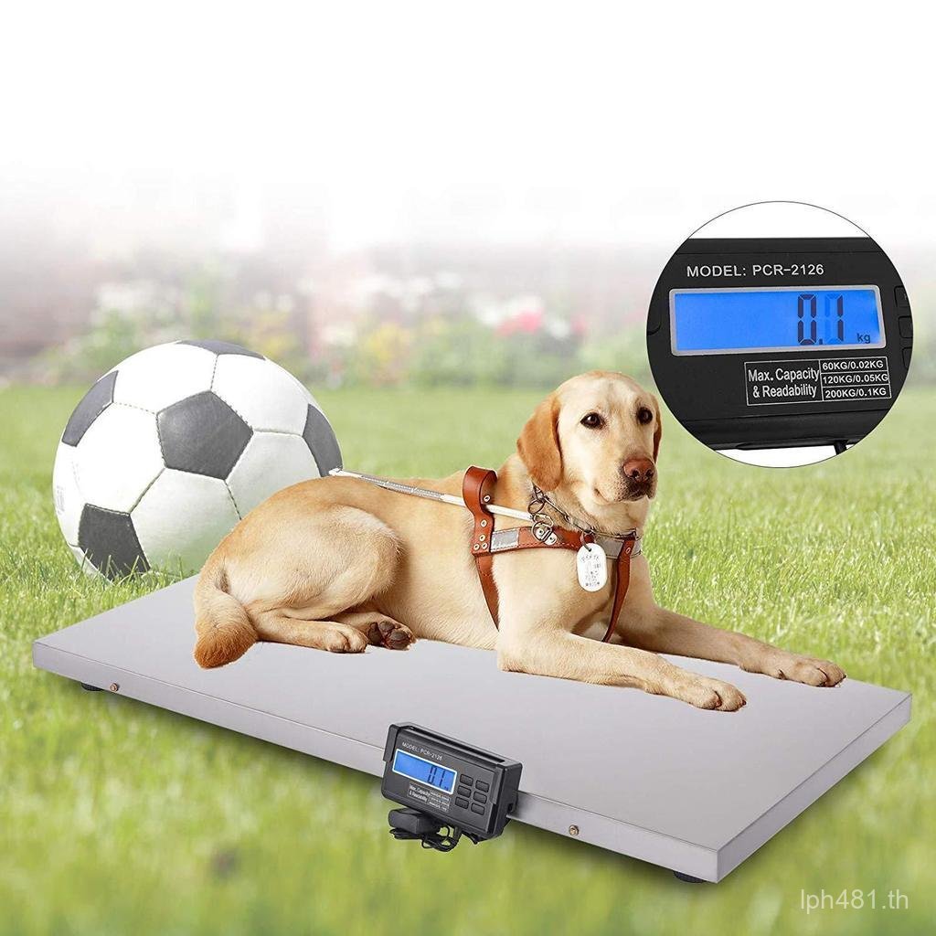 แยกประเภท 103X53 ซม.ขนาดสัตว์ Commercial ไปรษณีย์ขนาดอิเล็กทรอนิกส์ Express กระเป๋าเดินทางขนาดพัสดุข