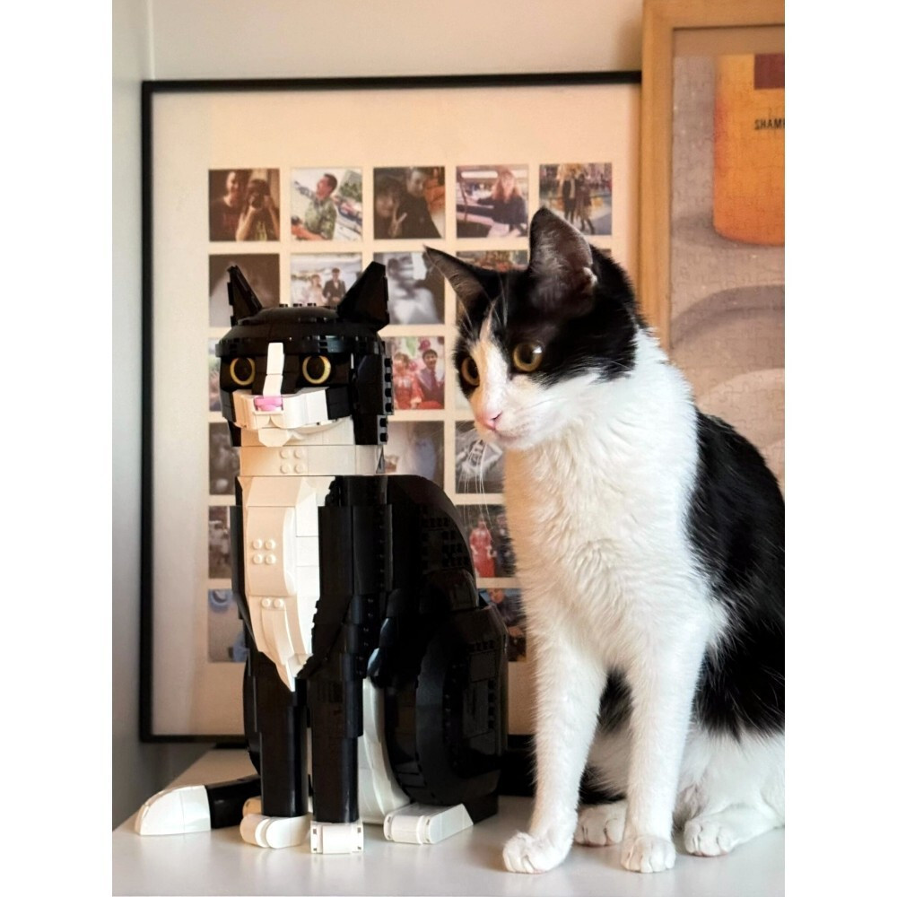 ใหม่ Tuxedo CAT การ์ตูน Building Blocks วัว CAT CAT TUXEDO Creative IDEAS Series ชายหญิงตุ๊กตารุ่น G
