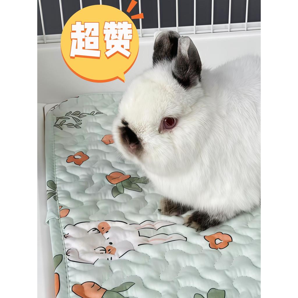 เบาะนอนแมว เบาะแมว Dayang 81แผ่นรองกรงกระต่าย R81PRO แผ่นรองกระต่ายสัตว์เลี้ยงสี่ฤดูหมูดัตช์ชินชิล่า