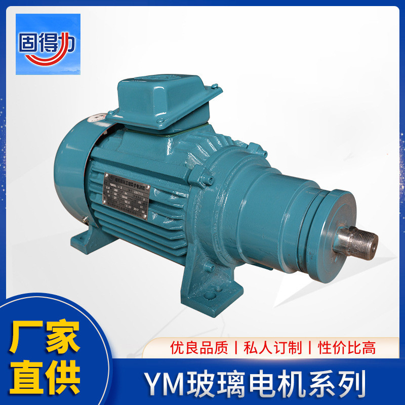 YM Series Glass Mechanical สาม-Phase Abnormal Step มอเตอร์สามPhase Abnormal Step Ho