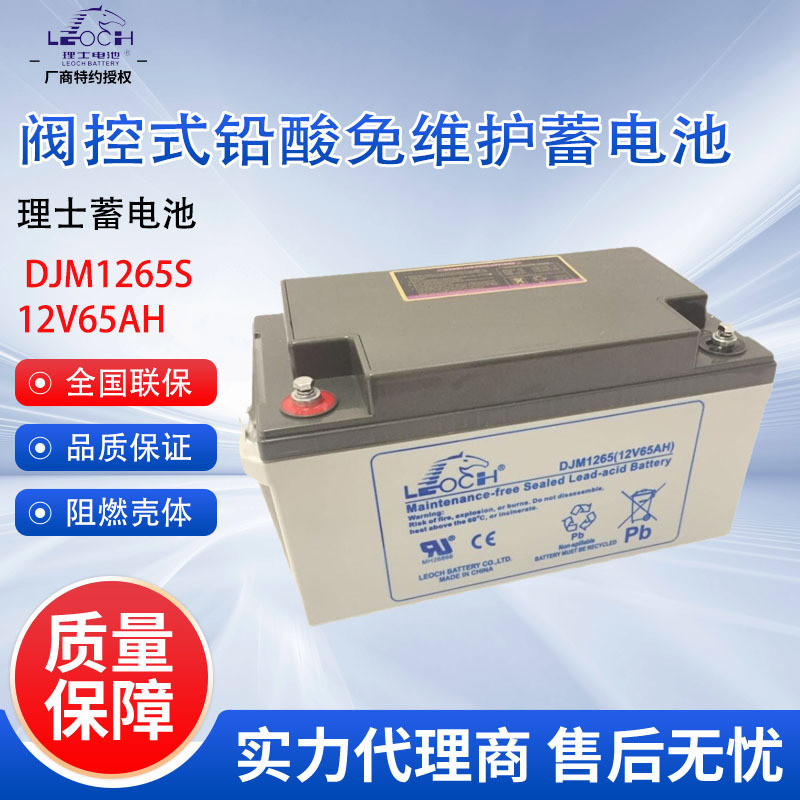 Rich Battery DJM1265S UPS Battery for Engine Room 12V65AH Maintenance-Free DC Screen Engine Room Ded