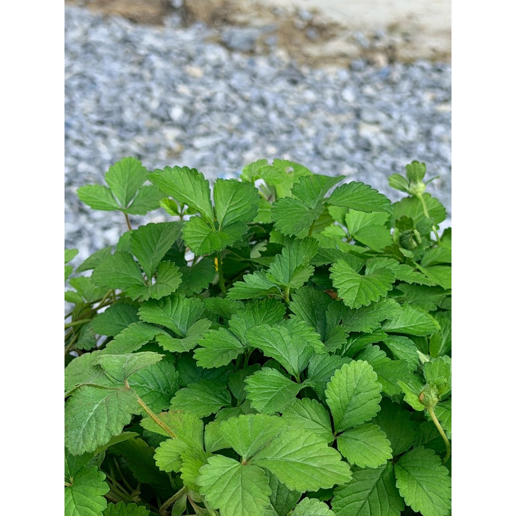 มุมมอง 5