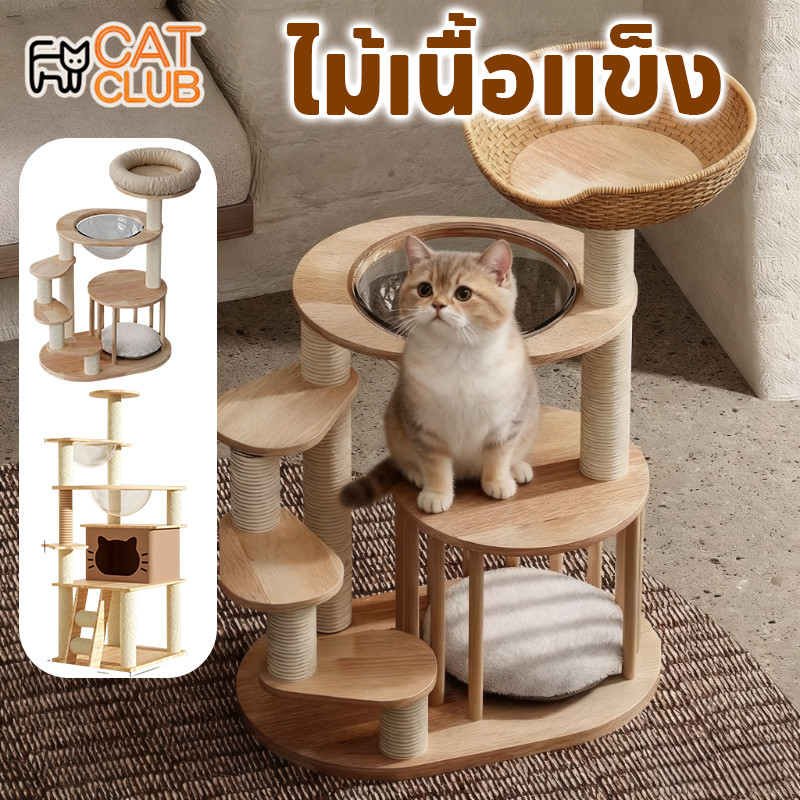 COD คอนโดแมว บ้านแมว ของเล่นแมว ที่นอนแมว แร็คปีนแมว แคปซูลสัตว์เลี้ยง ไม้เนื้อแข็ง แข็งแรง