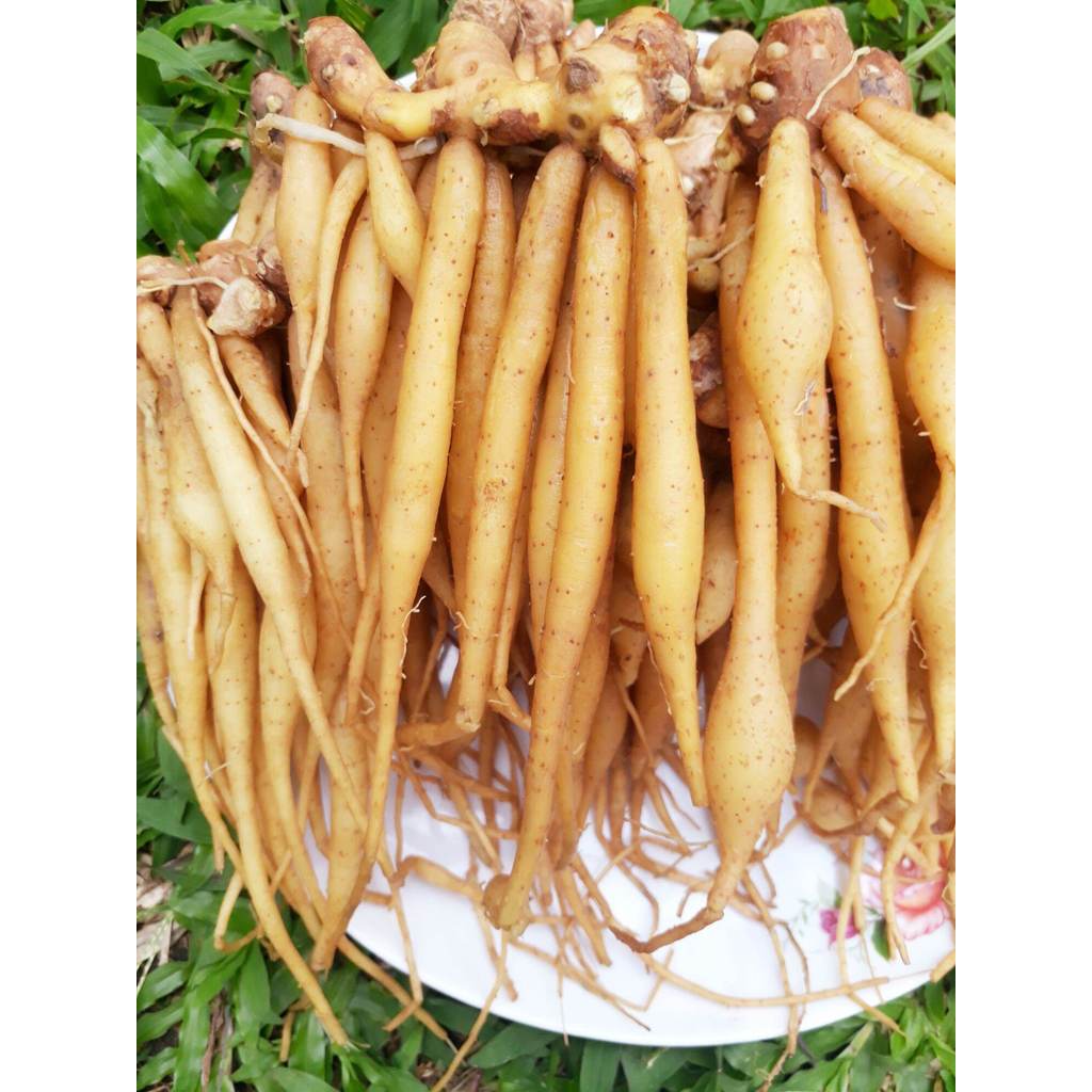 สดใหม่! จากฟาร์ม กระชายขาว สดๆ 1 kg. กระชายบ้านออแกนิค ราคาถูก ราคาส่ง #1